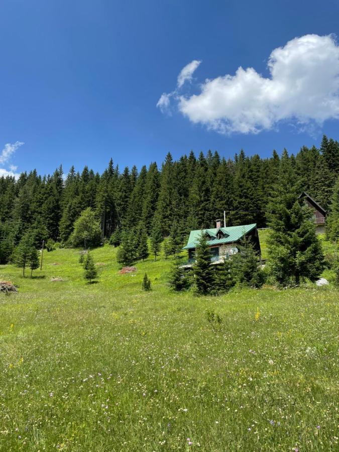 Magic Mountain Βίλα Žabljak Εξωτερικό φωτογραφία