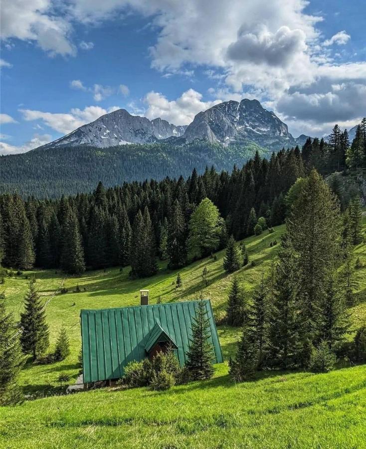 Magic Mountain Βίλα Žabljak Εξωτερικό φωτογραφία